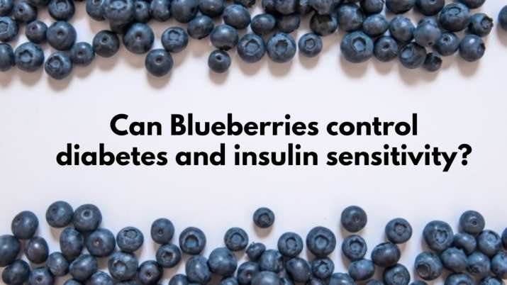 Can Blueberries control diabetes & insulin sensitivity