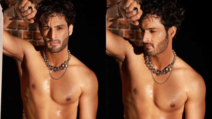 Bigg Boss 15 fame Umar Riaz's shirtless pics set internet ablaze, fans ask, 'Rashami wali chain kahan hai?' - Vimarsana News