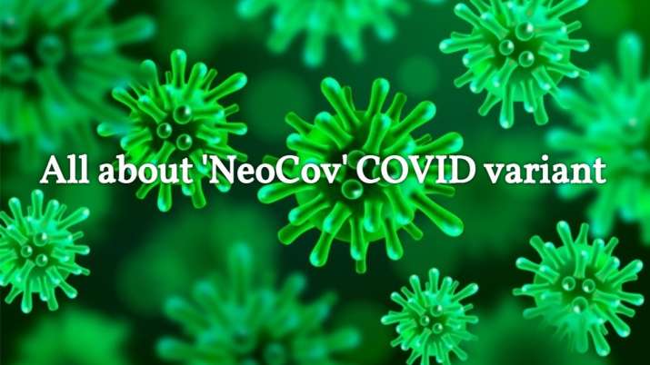 Virus neocov New Coronavirus