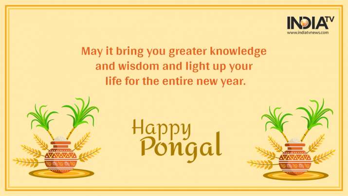 Happy Pongal 2022 Wishes Quotes Facebook Whatsapp Messages Greetings Sms Hd Images And Gifs Books Culture News India Tv