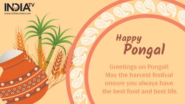 Happy Pongal 2022 Wishes Quotes Facebook Whatsapp Messages Greetings Sms Hd Images And Gifs Books Culture News India Tv