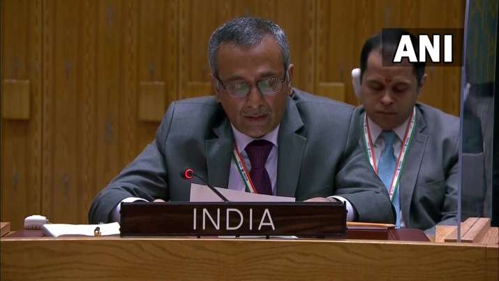 United Nations Security Council, India, Biological and Toxic Weapons Convention BTWC, UN Ambassador R Ravindra