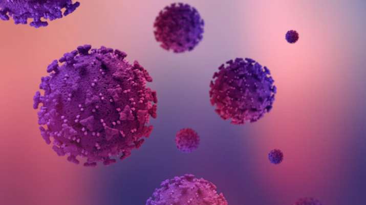 Fourth COVID wave? WHO warns new variant XE may be most transmissible. All you need to know - Vimarsana News