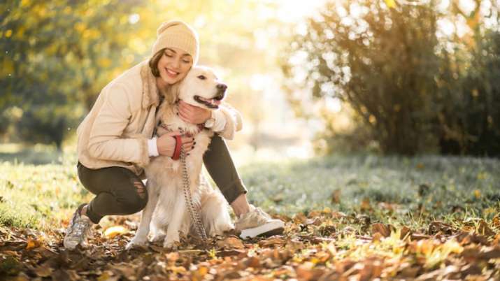 5 most important steps for pet parents, according to every veterinarian