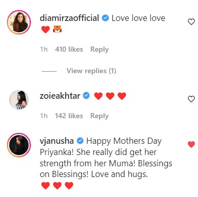 India Tv - Comments on Priyanka Chopra and Nick Jonas' post