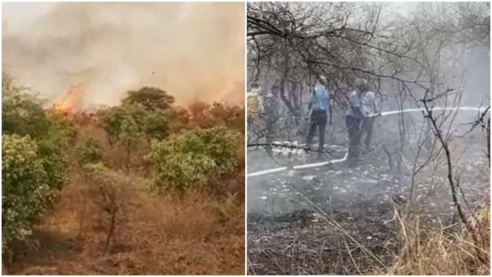 Fire breaks out at Nagpur's Gorewada forest, cause unknown