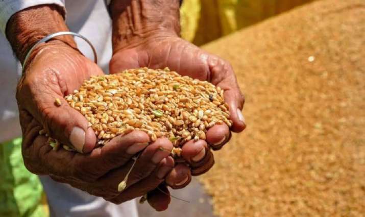 Pemerintah mengizinkan ekspor kiriman gandum yang terdaftar di otoritas pabean sebelum melarang pesanan