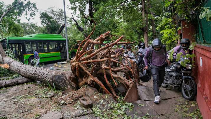 India Tv - A tree fell on the road in a thunderstorm on Monday, Tuesday, May 31, 2022, near India Gate in New Delhi.