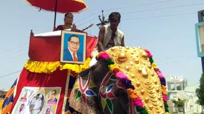 Gujarat: Dalit bride arrives on elephant at her pre-wedding celebrations