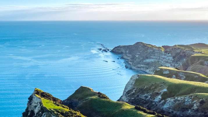 For many parts of New Zealand's coast, 30 cm of sea-level