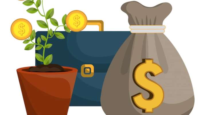 Vastu Tips: Keeping money plant like THIS at home can bring you bad luck and financial loss | DEETS