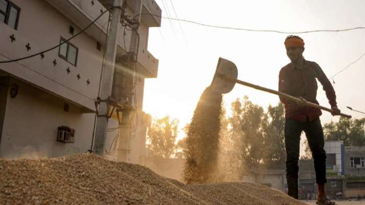 Global wheat prices jump after India export ban and Ukraine war, says UN food agency