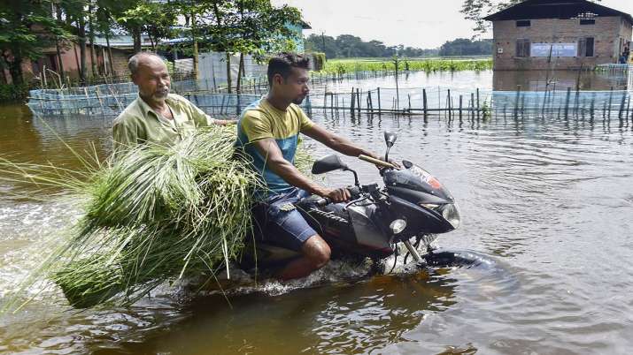 Assam floods, Assam flood death toll, Assam flood latest news, Assam flood worst affected areas, Assam