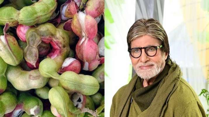 Amitabh Bachchan gave a befitting reply to the person who asked him the name of this mysterious fruit