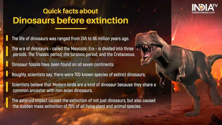India Tv - Quick, interesting facts about dinosaurs