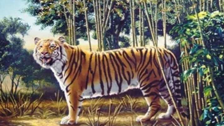 There's not one but two tigers in this picture Can you spot it Game of Illusion - Vimarsana News