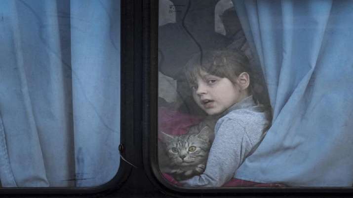 An internally displaced child is seen holding a pet cat