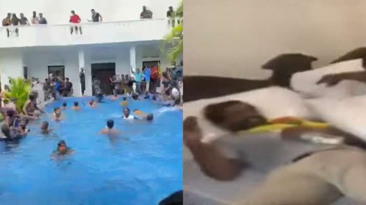 Protesters are sleeping in President Rajapaksa's pool