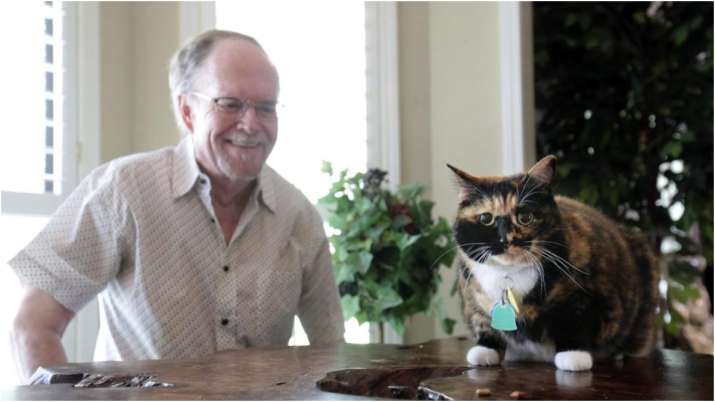 Heroic cat prevents burglary by waking up owner on time. Here's how he did it - Vimarsana News