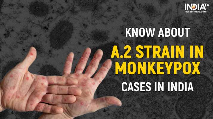 Monkeypox: A.2 strain found in Indian patients. Know the symptoms and treatment - Vimarsana News