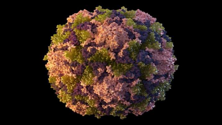New York: Polio fears rise amid possible community spread - Vimarsana News