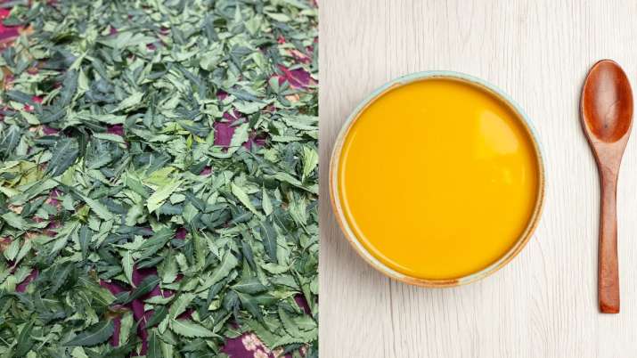 Try these neem hair masks to treat dandruff and dry scalp; know how to ...