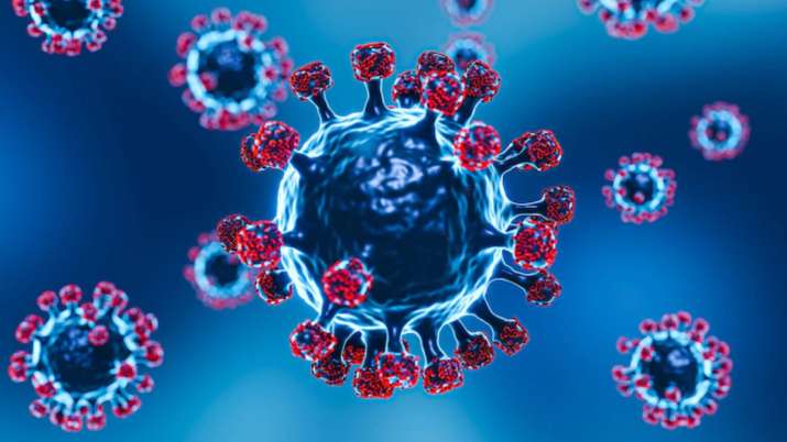 Vaccinated people infected by Omicron have four times greater protection - Vimarsana News