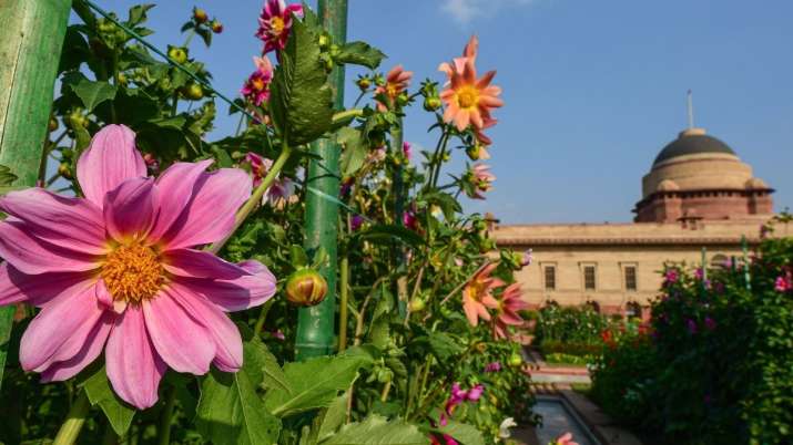 India Tv - mughal garden, mughal garden delhi opening date 2022, mughal garden delhi opening date 2023, mughal 