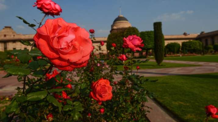 India Tv - mughal garden, mughal garden delhi opening date 2022, mughal garden delhi opening date 2023, mughal 