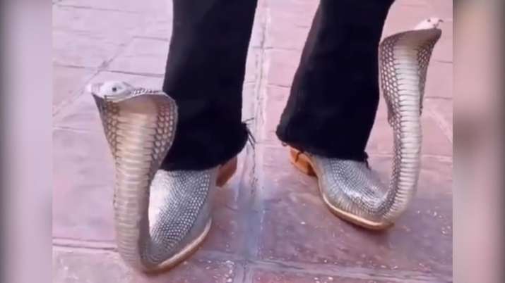 Harsh Goenka shares video of man wearing snake-shaped shoes. Twitter responds hilariously