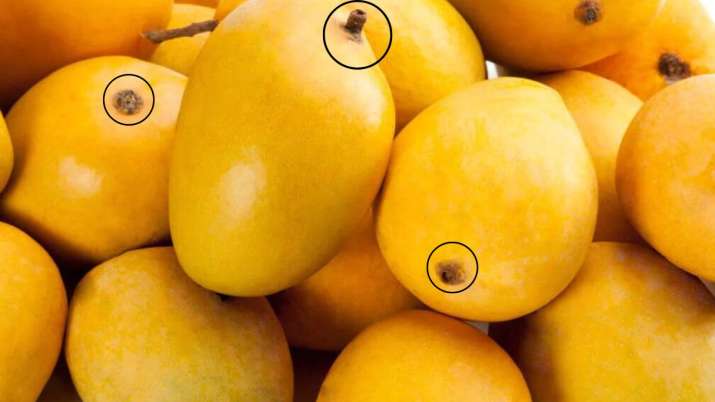 India Tv - How to identify sweet mango without cutting it?
