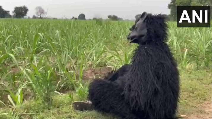 India Tv - Farmer in 'bear costume' 