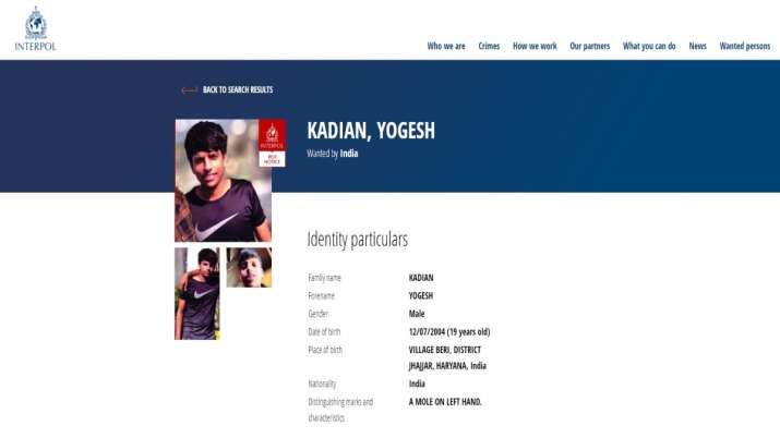 India Tv - Interpol, gangster from Haryana