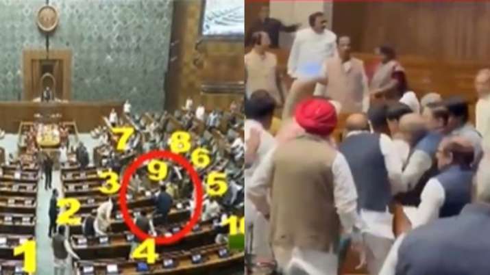 Parliament security breach: How did MPs thrash man who jumped into Lok Sabha? Watch Video