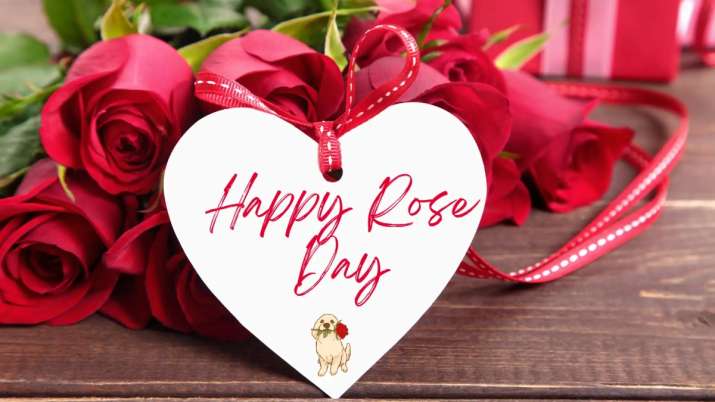 India Tv - Happy Rose Day 2024