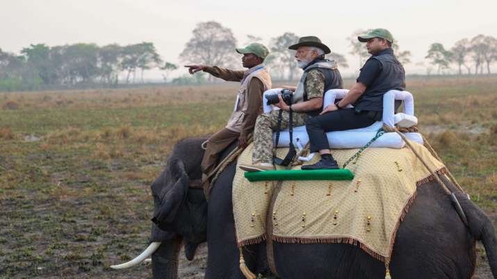 PM Modi takes elephant safari at Kaziranga National Park in Assam | WATCH VIDEO