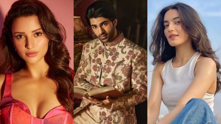 Triptii Dimri to Taha Shah Badussha, actors who became overnight sensations with new releases