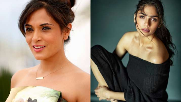 'Be Kind...', Richa Chadha comes out in support of Heeramandi co-star Sharmin Segal amid heavy trolling