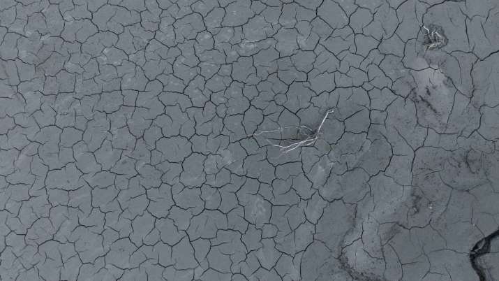 इंडिया टीवी - एक दृश्य में मोर्नोस झील के बगल में एक गाय दिखाई दे रही है, जिसे के गांव में जानबूझकर बाढ़ लाकर बनाया गया था