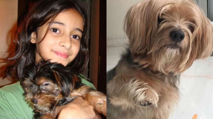 Ananya Panday shares emotional post on her pet dog Fudge’s demise | See Photos