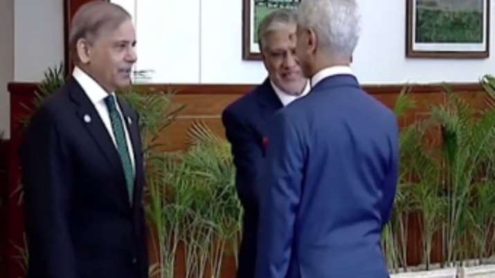 India Tv - S Jaishankar while shaking hands with his Pakistani counterpart Ishaq Dar 