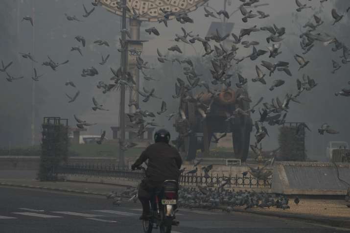 India Tv - Pigeons fly in heavy smog in Lahore, Pakistan