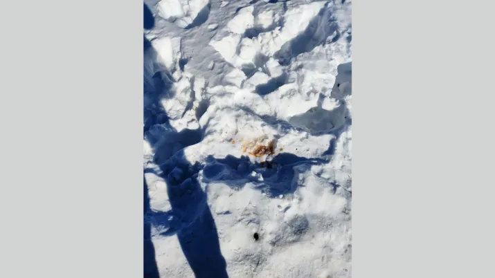 India TV - Gutka Stins en la nieve