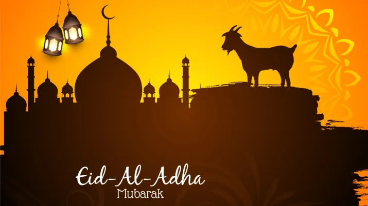 INDIA TV - EID AL -ADHA 2025