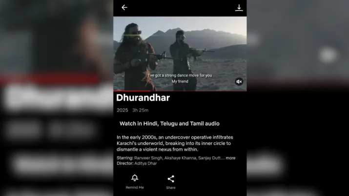 India Tv - Screengrab taken from Netflix India application. 