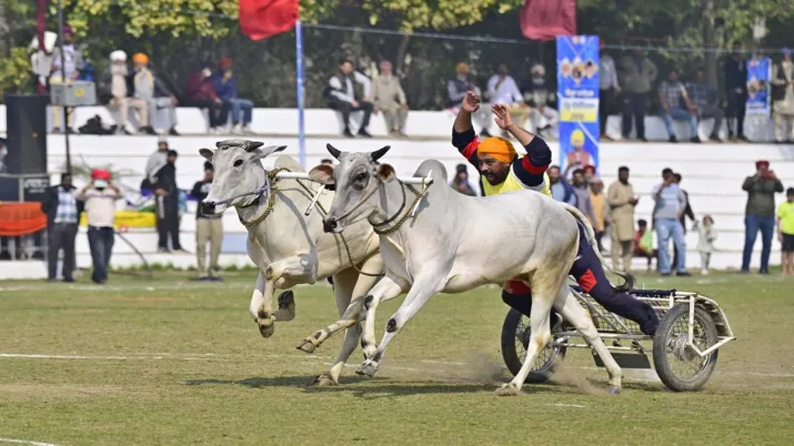 India Tv - ਬਲਦਾਂ ਦੀਆਂ ਦੌੜਾਂ ਸਹੀ ਸੁਰੱਖਿਆ ਦੇ ਨਾਲ ਕਰਵਾਈਆਂ ਜਾ ਰਹੀਆਂ ਹਨ। India Tv - ਬਲਦਾਂ ਦੀਆਂ ਦੌੜਾਂ ਸਹੀ ਸੁਰੱਖਿਆ ਦੇ ਨਾਲ ਕਰਵਾਈਆਂ ਜਾ ਰਹੀਆਂ ਹਨ।