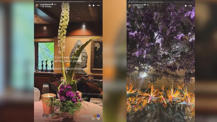 India Tv - A look inside Sonam Kapoor's baby shower decor.