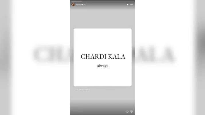 India Tv - Screengrab taken from Hansika Motwanni's Instagram story.