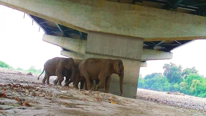 India Tv - delhi dehradun expressway