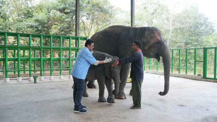 India Tv - Vantara will contribute its veterinary, animal care and conservation expertise, technical capabilities, infrastructure support and capacity-building programmes. India Tv - Vantara will contribute its veterinary, animal care and conservation expertise, technical capabilities, infrastructure support and capacity-building programmes.